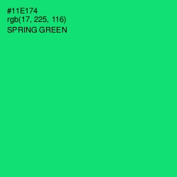 #11E174 - Spring Green Color Image